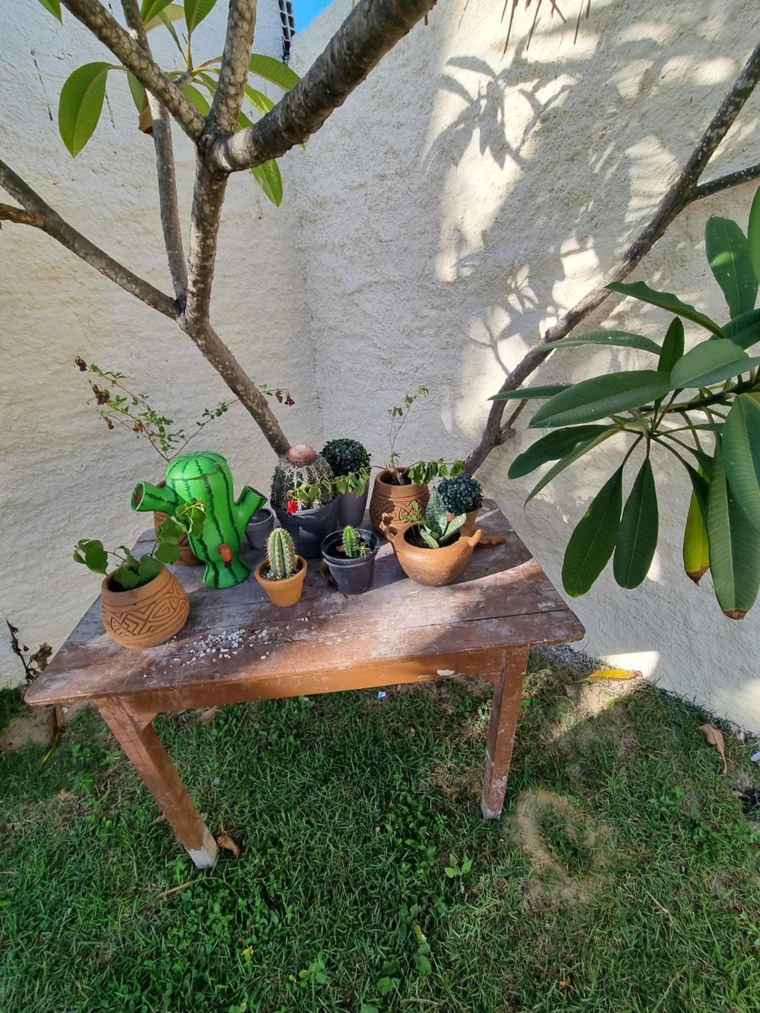 Casa Ferreira Cumbuco *
